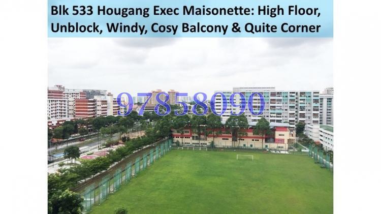 Blk 533 Hougang Avenue 6 (Hougang), HDB Executive #174497962